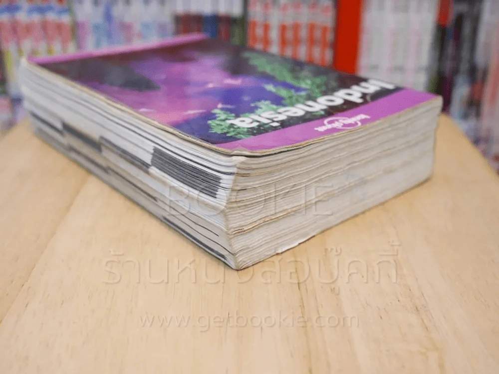lonely planet Indonesia รูปที่ 5