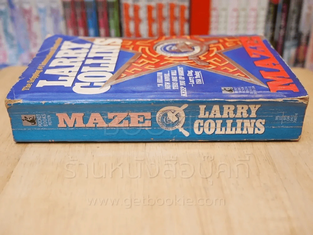 Maze - Larry Collins รูปที่ 2