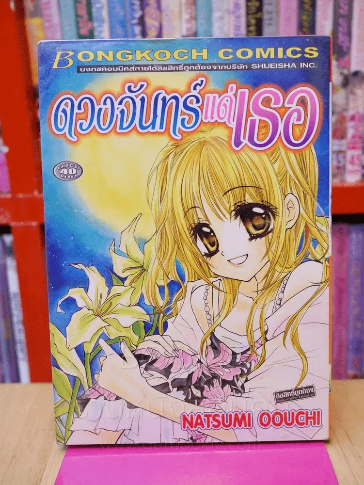 ดวงจันทร์แด่เธอ รูปที่ 2