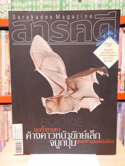 Feature Magazine สารคดี ฉบับที่ 275 ปีที่ 23 มกราคม 2551 ค้างคาวหน้ายักษ์เล็กจมูกปุ่ม รูปที่ 1