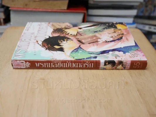 พรหมลิขิตบันดาลรัก รูปที่ 2