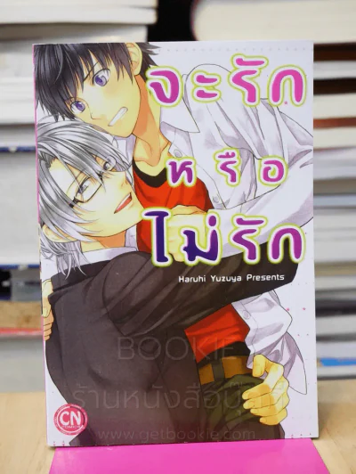 จะรักหรือไม่รัก รูปที่ 1