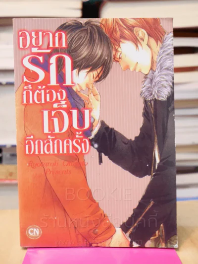 อยากรักก็ต้องเจ็บอีกสักครั้ง รูปที่ 1