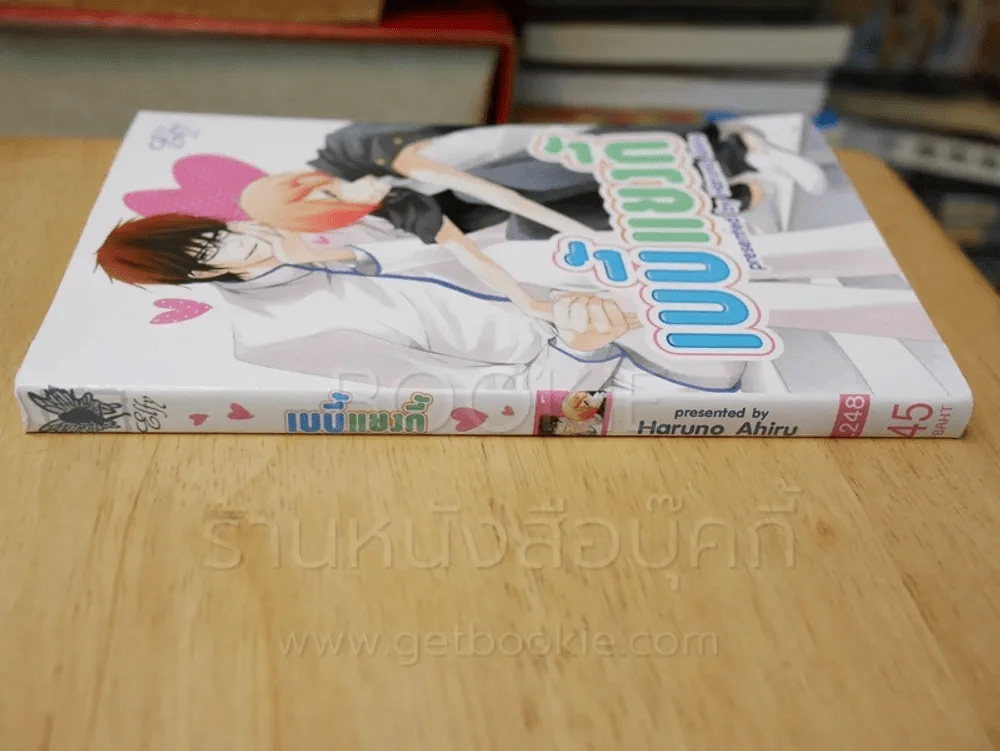 เบบี้แยงกี้ รูปที่ 2