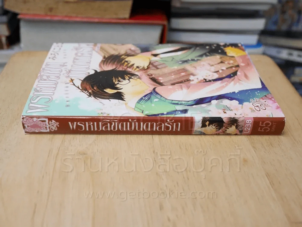 พรหมลิขิตบันดาลรัก รูปที่ 2