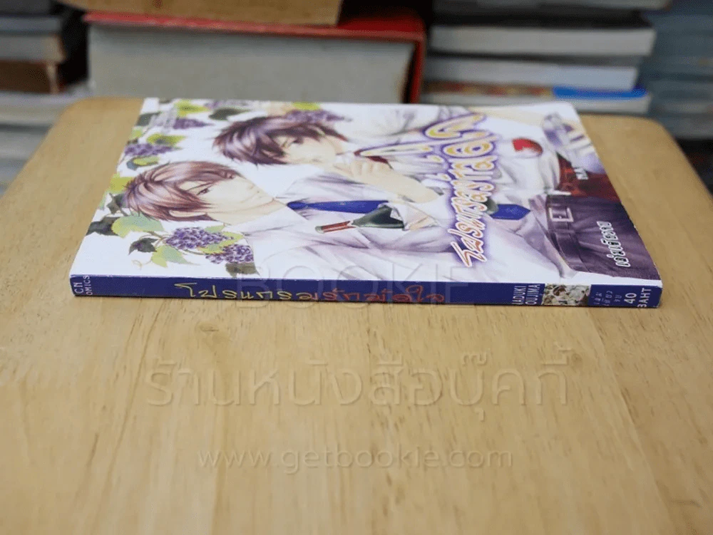โปรแกรมรักมัดใจ รูปที่ 2