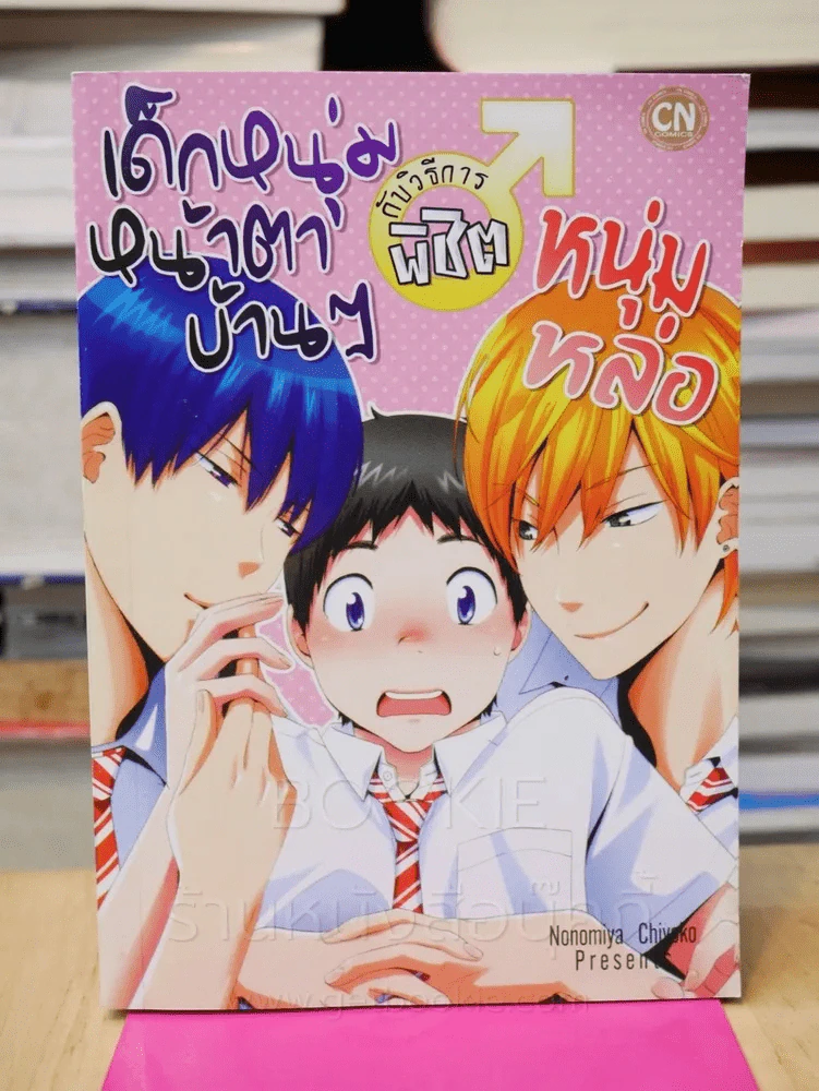 เด็กหนุ่มหน้าตาบ้านๆ กับวิธีการพิชิตหนุ่มหล่อ รูปที่ 1