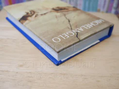 Michelangelo รูปที่ 5