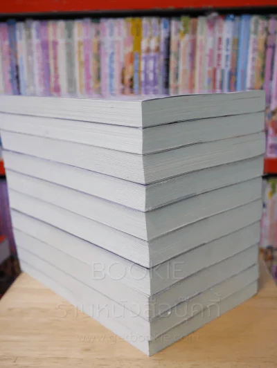 ชายาสะท้านแผ่นดิน 10 เล่มจบ + ภาคพิเศษ (ขาดเล่ม 6) รูปที่ 5