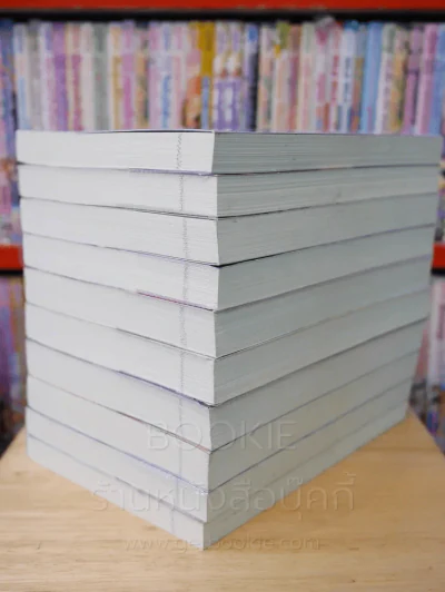 ชายาสะท้านแผ่นดิน 10 เล่มจบ + ภาคพิเศษ (ขาดเล่ม 6) รูปที่ 4