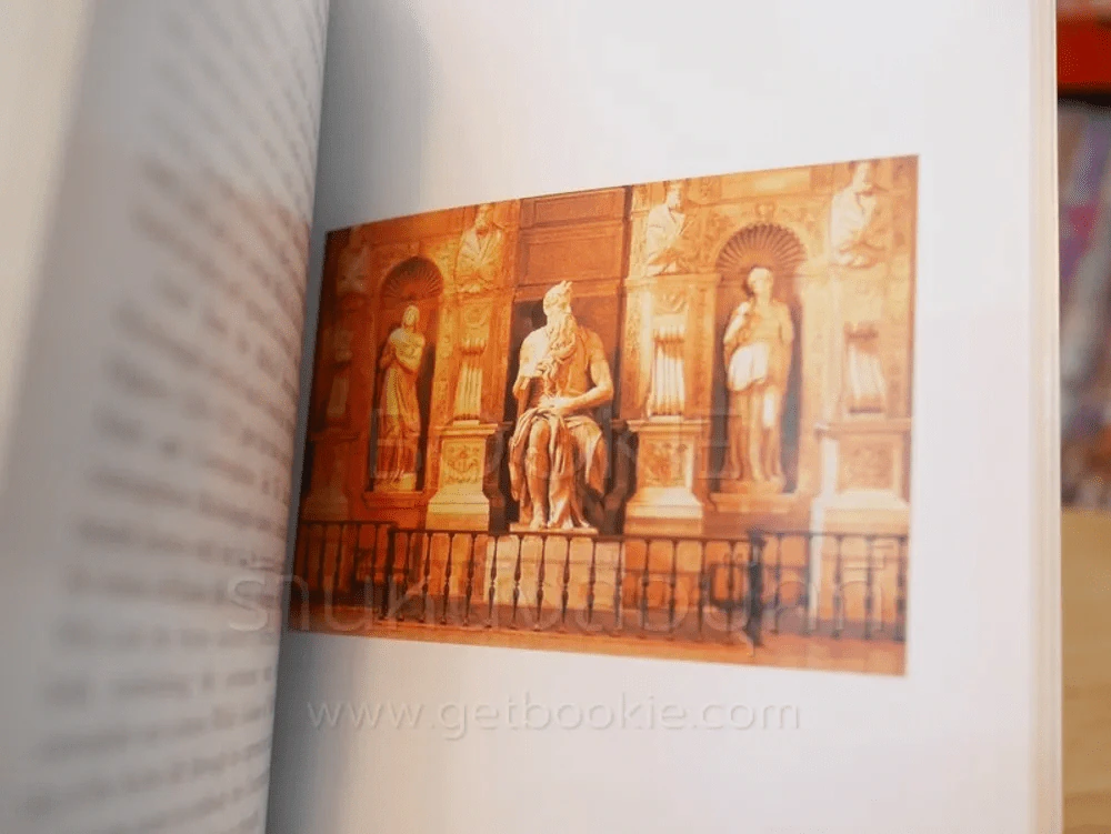 Michelangelo รูปที่ 8