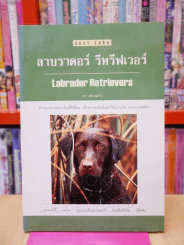 ลาบาดอร์ รีทรีฟเวอร์ รูปที่ 1