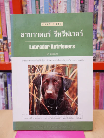 ลาบาดอร์ รีทรีฟเวอร์ รูปที่ 1