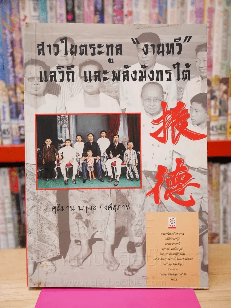 สาวใยตระกูล "งานทวี" แลวิถี และพลังมังกรใต้ รูปที่ 1
