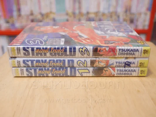 Stay Gold สเตย์ โกลด์ 3 เล่มจบ รูปที่ 2