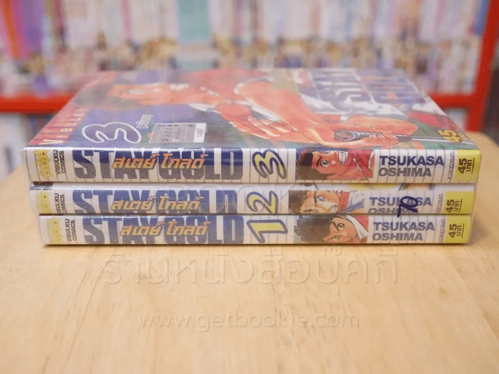 Stay Gold สเตย์ โกลด์ 3 เล่มจบ รูปที่ 2