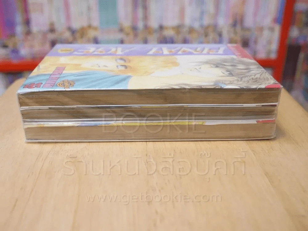 Final Age ไฟนอล เอจ 3 เล่มจบ รูปที่ 3