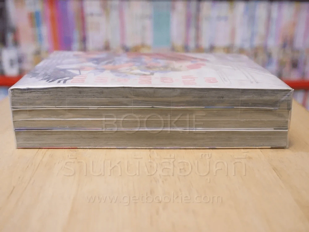 สวยสั่งลุย MAID THUNDER 3 เล่มจบ รูปที่ 3