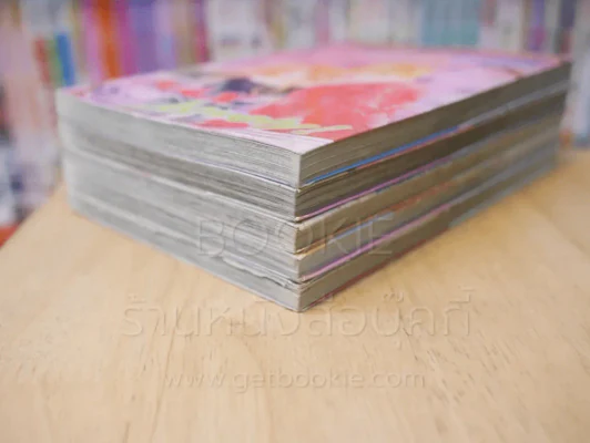 Max Lovely 5 เล่มจบ รูปที่ 4