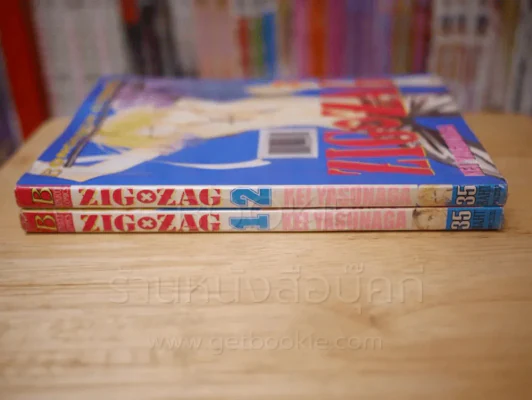 ZIG X ZAG ซิกแซก 2 เล่มจบ รูปที่ 2
