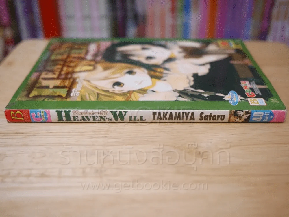 ลิขิตรักต่างมิติ Heaven's Will รูปที่ 2