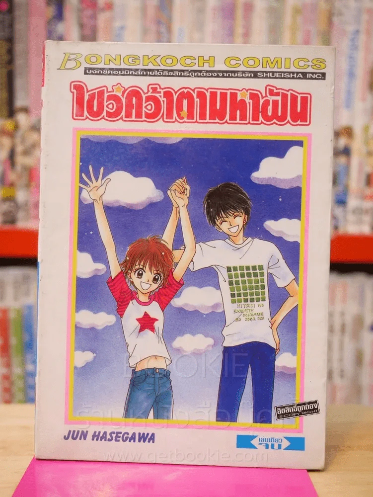 ไขว่คว้าตามหาฝัน รูปที่ 1