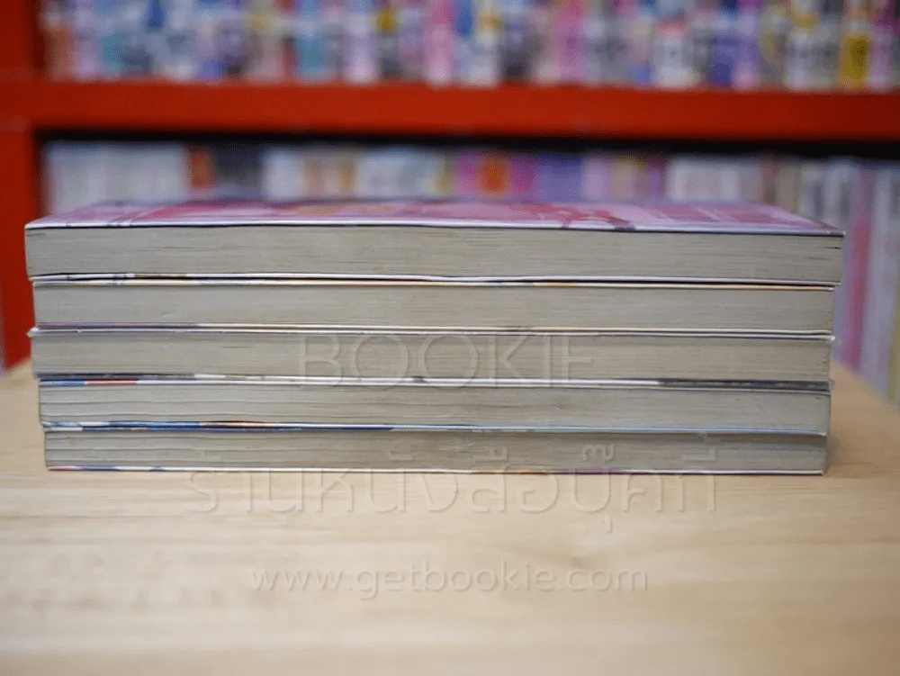 ลิขิตรักฟ้าประทาน 5 เล่มจบ รูปที่ 3