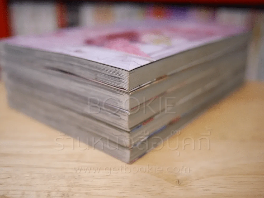 ลิขิตรักฟ้าประทาน 5 เล่มจบ รูปที่ 4