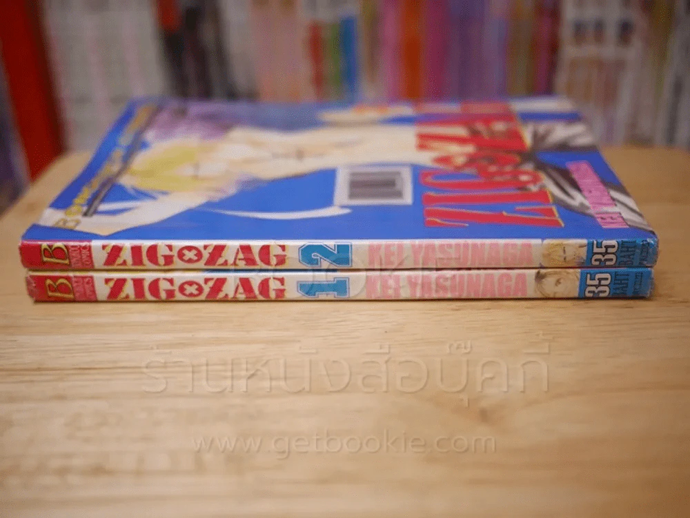 ZIG X ZAG ซิกแซก 2 เล่มจบ รูปที่ 2