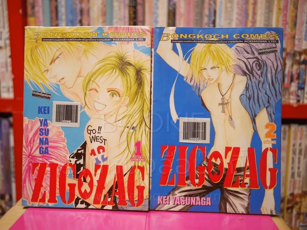 ZIG X ZAG ซิกแซก 2 เล่มจบ รูปที่ 1