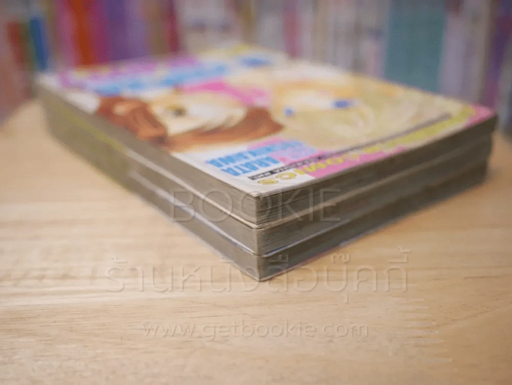 Sleeping Beauty 3 เล่มจบ รูปที่ 5