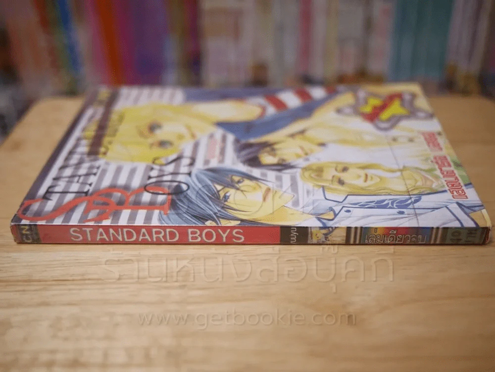 Standard Boys รูปที่ 2