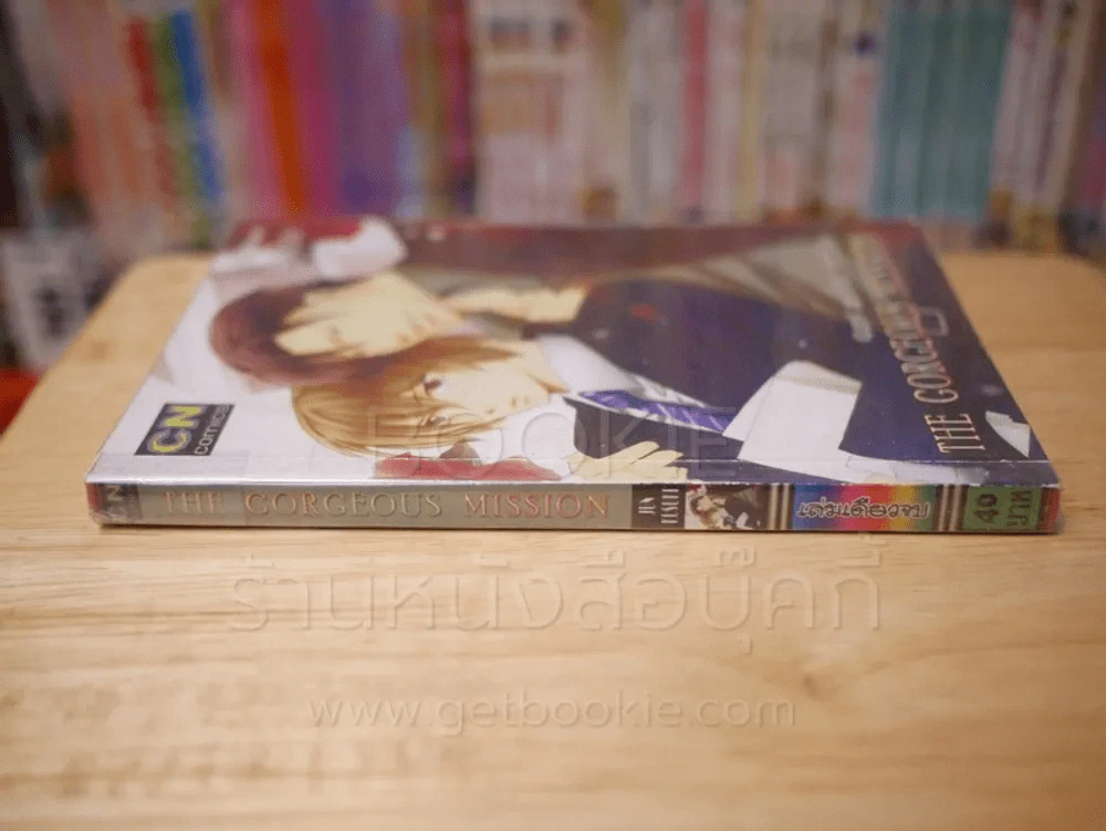 THE GORGEOUS MISSION เดอะ กอร์เจิส มิชชั่น รูปที่ 2