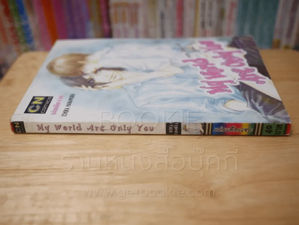 My World Are Only You รูปที่ 2