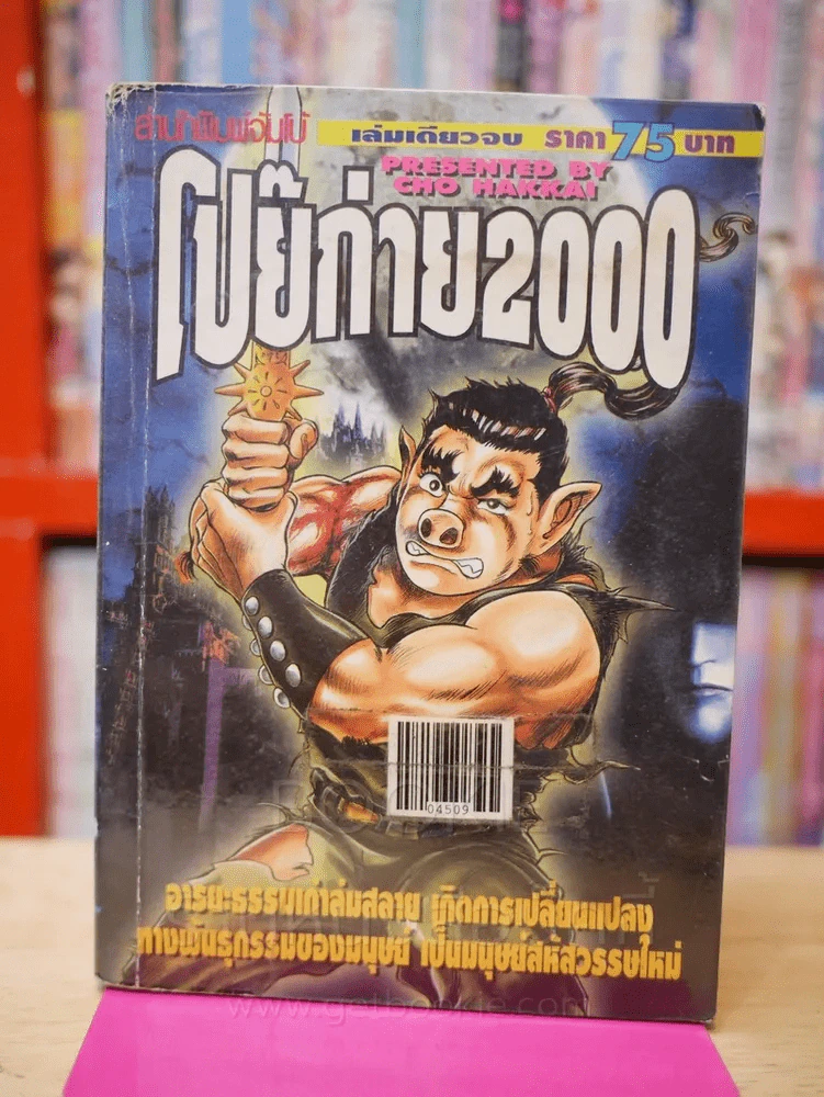 โป๊ยก่าย 2000 (สภาพบวมน้ำ) รูปที่ 1