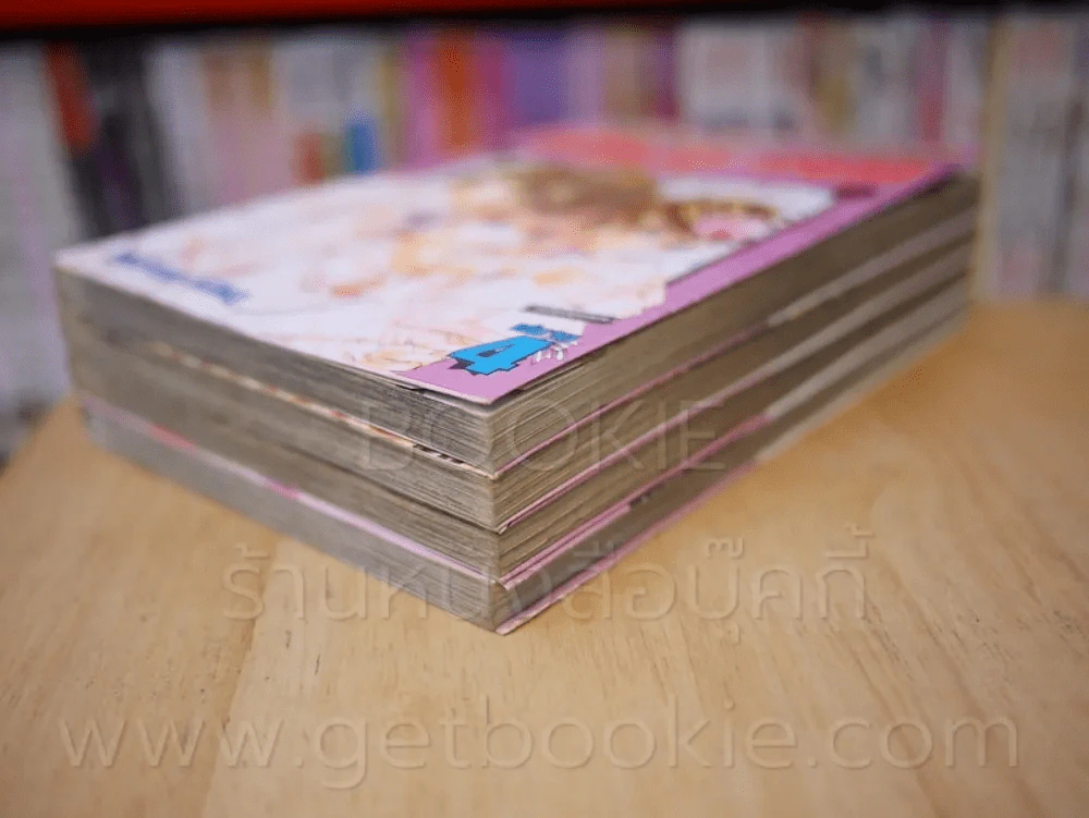 เจ้าชายน้อยต่างภพ 4 เล่มจบ รูปที่ 4