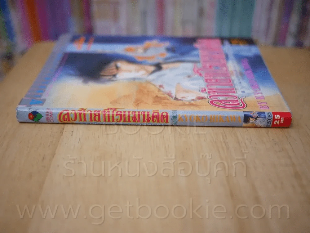 ลงท้ายที่โรแมนติค สาวน้อยแสนกล ภาคพิเศษ รูปที่ 2