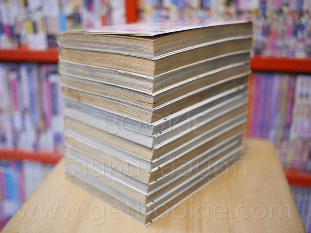 บ้านพักอลเวง 14 เล่มจบ รูปที่ 4