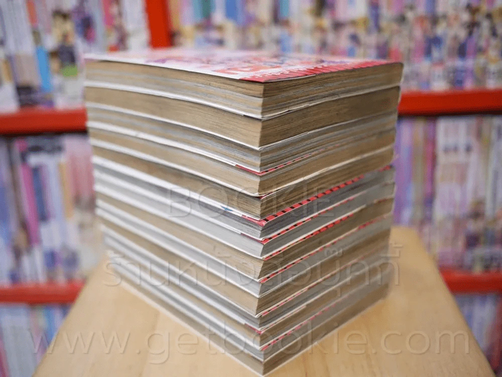 บ้านพักอลเวง 14 เล่มจบ รูปที่ 5