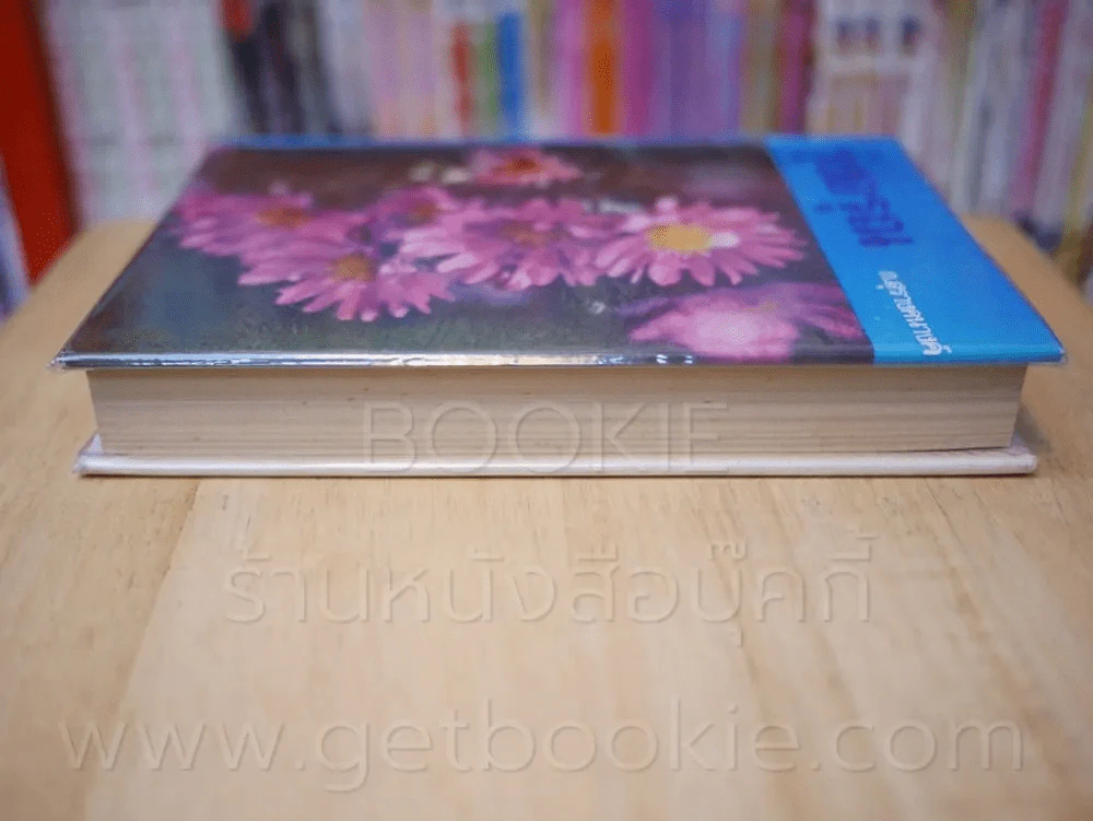 รุ่งอรุณ - ก.สุรางคนางค์ (เล่มเดียวจบ) รูปที่ 3