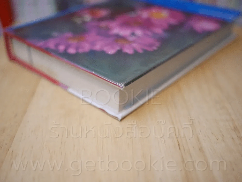 รุ่งอรุณ - ก.สุรางคนางค์ (เล่มเดียวจบ) รูปที่ 4