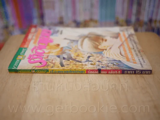 รักผิดแบบ เล่ม 14 (เล่มจบ) รูปที่ 2
