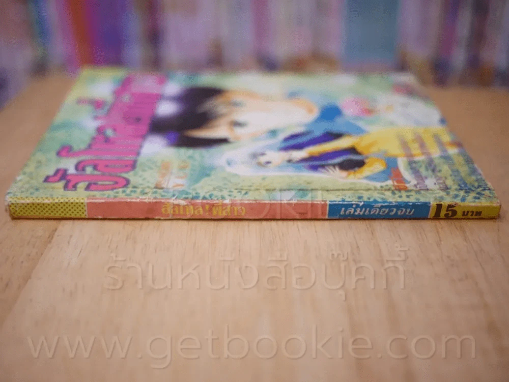 ฮัลโหล!พี่สาว รูปที่ 2