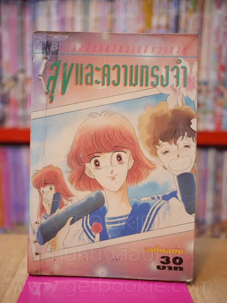 สุขและความทรงจำ รูปที่ 1