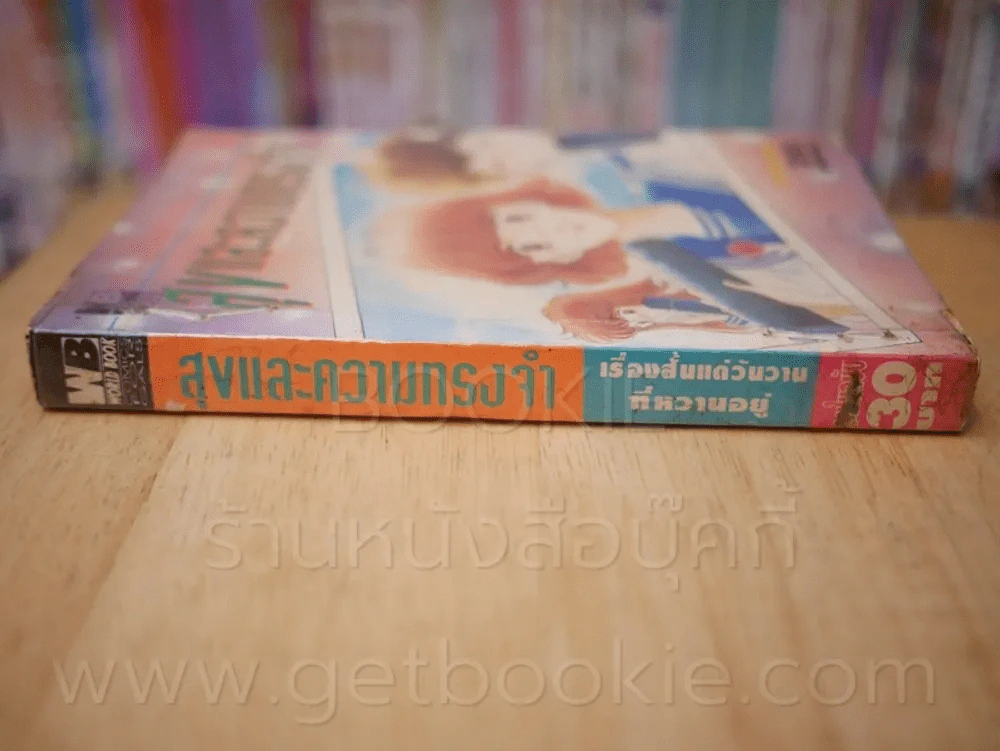 สุขและความทรงจำ รูปที่ 2