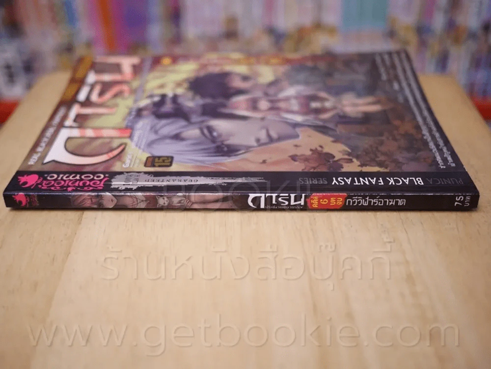 การิน ปริศนาคดีอาถรรพ์ คดีที่ 6 บทจบ กวีวิฬาร์อาฆาต (การ์ตูน) รูปที่ 2
