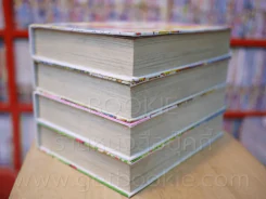 Candy Candy ปกแข็ง 4 เล่มจบ รูปที่ 4