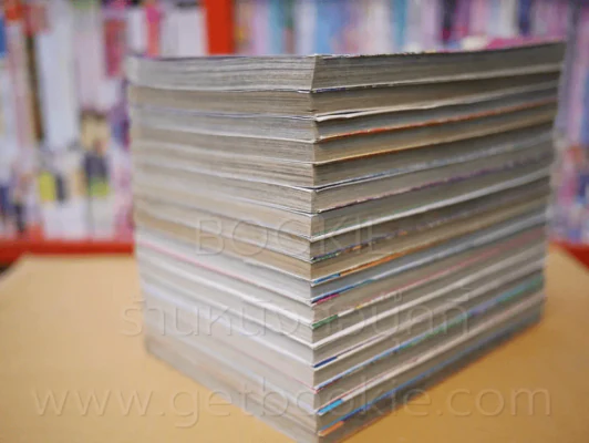 Jojo Part 6 Stone Ocean โจโจ้ ล่าข้ามศตวรรษ ภาค 6 17 เล่มจบ รูปที่ 4
