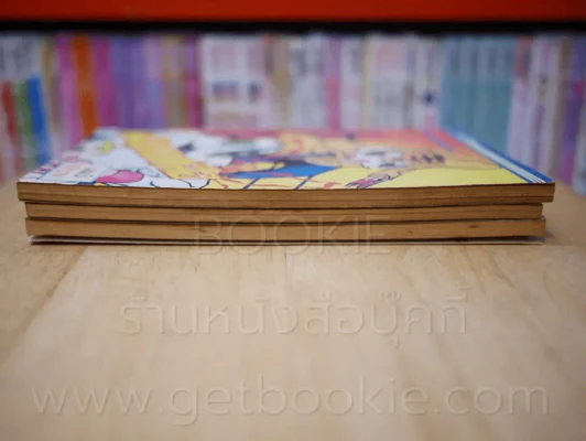 หน้ากากเสือ เล่ม 1-3 รูปที่ 3