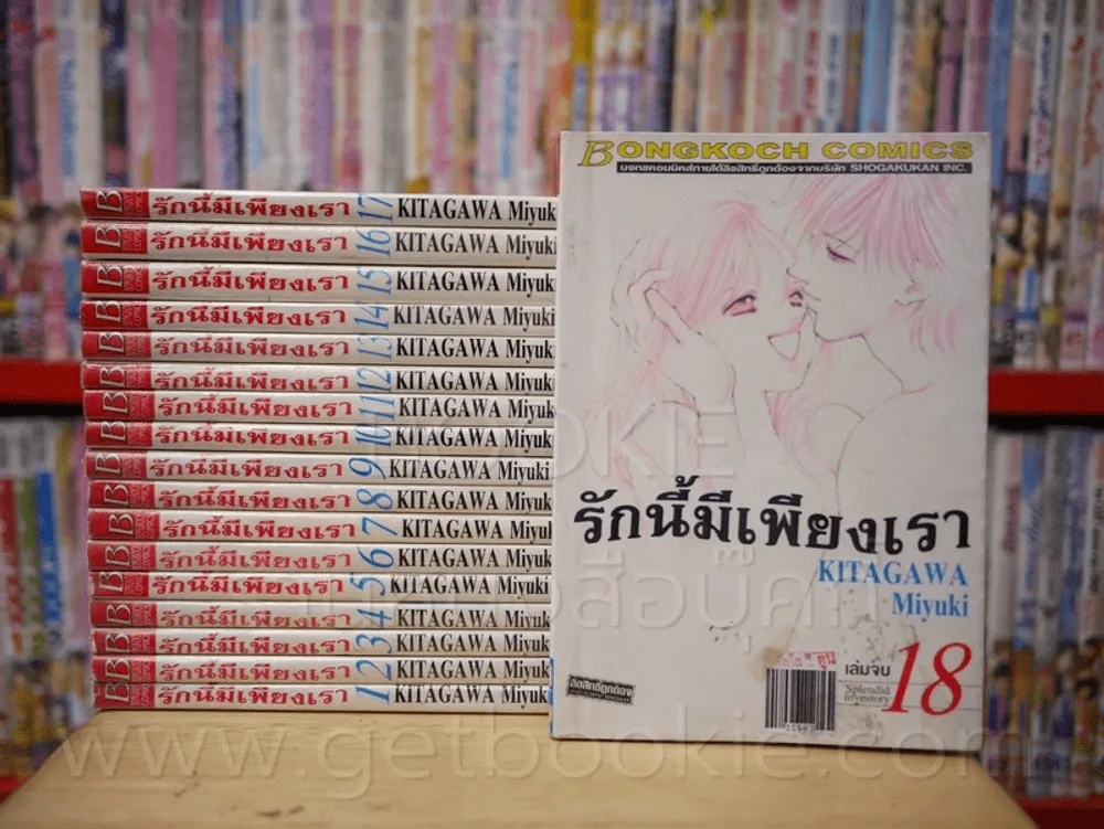 รักนี้มีเพียงเรา 18 เล่มจบ รูปที่ 1